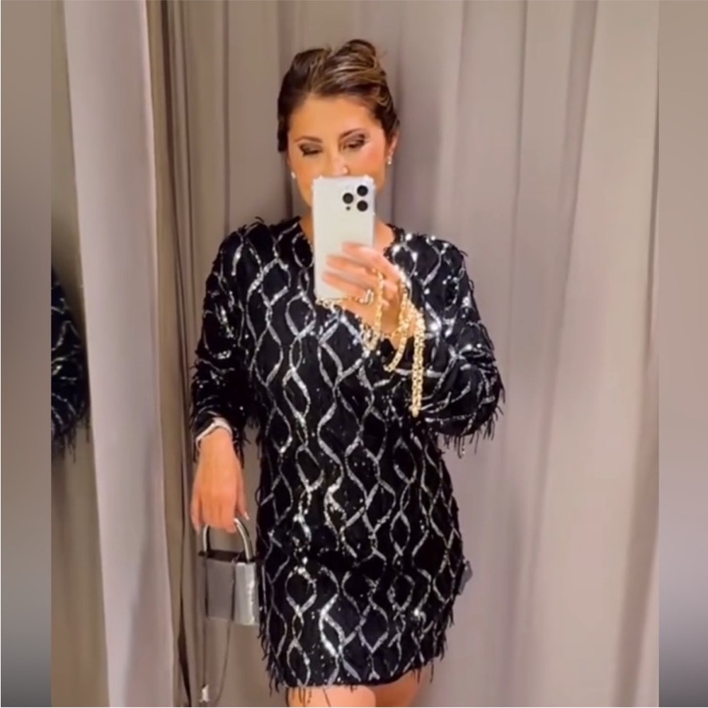 Nwt-Zara- SEQUIN FRINGED MINI DRESS - Picture 4 of 15